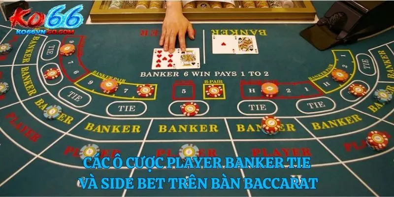 Các ô cược Player Banker Tie và side bet trên bàn baccarat