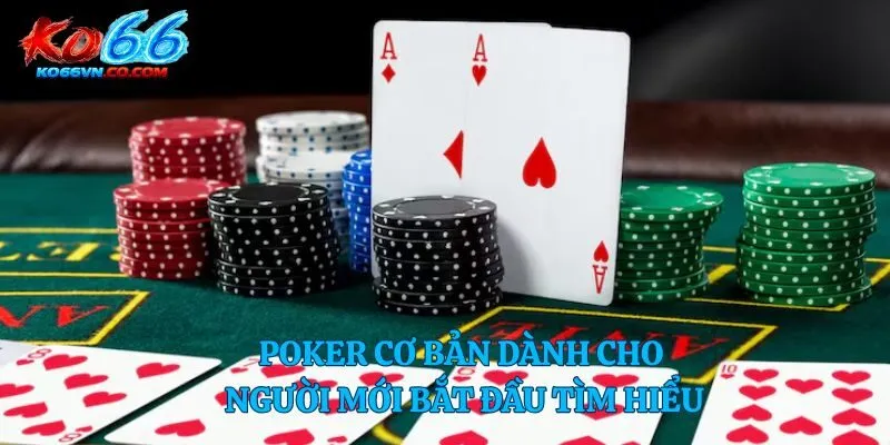 Poker cơ bản dành cho người mới bắt đầu tìm hiểu