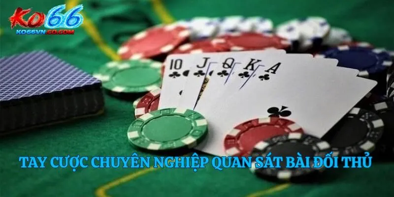 Tay cược chuyên nghiệp quan sát bài đối thủ 